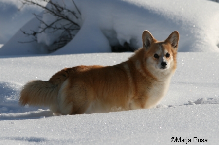 Winter 2010