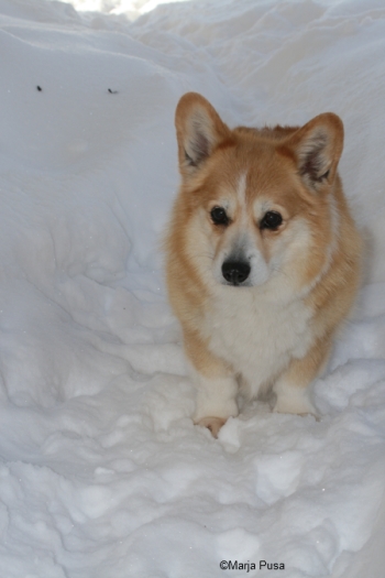 Winter 2010